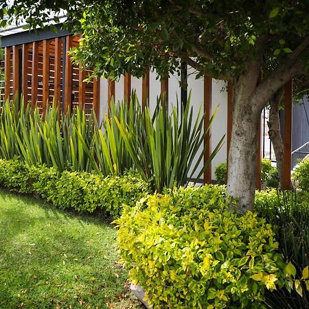 Zimmer Suites Aguascalientes Eksteriør bilde